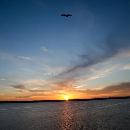 Daire Sunset Mamaia